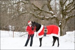 Woman and Horse in Santa Costume 