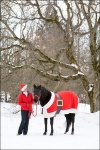 Woman and Horse in Santa Costume 