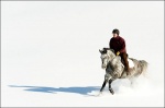 Man Horseback Riding in Snow 