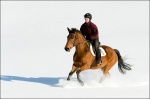 Woman Horseback Riding Through Snow 