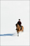 Woman Horseback Riding Through Snow 