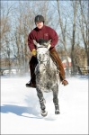 Man Horseback Riding in Snow 