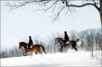 Horseback Riding Through Snow 