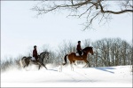 Horseback Riding Through Snow 